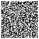 QR code with Blue Rock Corporation contacts
