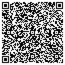 QR code with Central Valley Kirby contacts