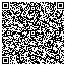 QR code with Chestney Tree Service contacts