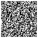 QR code with P L Auto Wholesalers contacts