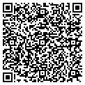 QR code with Tdm Too contacts