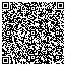 QR code with C & M Plastering Inc contacts