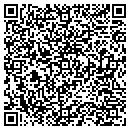 QR code with Carl C Swanson Inc contacts