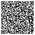 QR code with Bigelow contacts