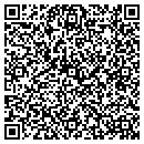 QR code with Precision Designs contacts