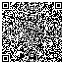 QR code with Cluster Sciences contacts