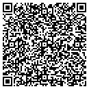 QR code with Professional Plastering contacts