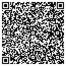 QR code with Christopher A Stein contacts