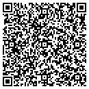 QR code with Pse Technology Corp contacts