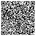 QR code with D'vine contacts