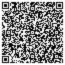 QR code with Pro 1 Insulation CO contacts