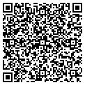QR code with Cellar contacts