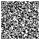 QR code with Professional Plastering contacts