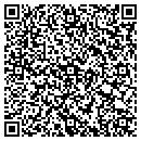QR code with Prot Touch Auto Sales contacts