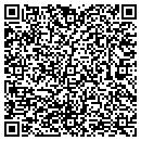 QR code with Baudeli Plastering Inc contacts