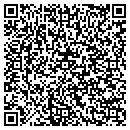 QR code with Prinzing Inc contacts