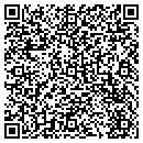 QR code with Clio Technologies Inc contacts