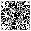 QR code with Premiere Woodwork Inc contacts