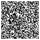 QR code with Precision Plastering contacts