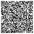 QR code with Preferred Plastering contacts