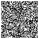 QR code with Premier Plastering contacts