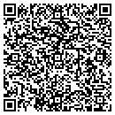 QR code with Premier Plastering contacts