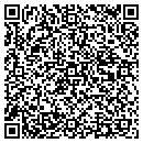 QR code with Pull Plastering Inc contacts