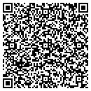 QR code with Pye Auto Sales contacts