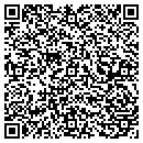 QR code with Carroll Construction contacts