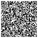 QR code with Precision Tree Care contacts