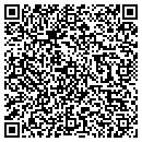 QR code with Pro Style Plastering contacts