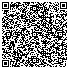 QR code with Pulse Distribution LLC contacts