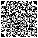QR code with Precision Plastering contacts