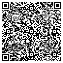 QR code with Preferred Plastering contacts