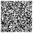 QR code with Plastering Systems Inc contacts