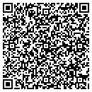 QR code with Briscoe Tree Service contacts
