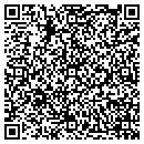QR code with Brians Tree Service contacts