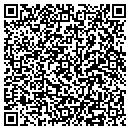 QR code with Pyramid Auto Sales contacts