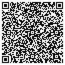 QR code with Baldwin's Auto Sales contacts