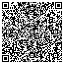 QR code with Bogue Systems contacts