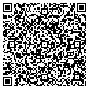 QR code with Promise Land contacts