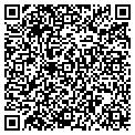 QR code with Tavern contacts