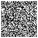 QR code with Brink S Tree Service contacts