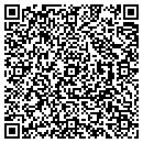 QR code with Celfiber Inc contacts