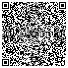 QR code with Badger State Maintenance contacts