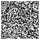 QR code with Carrier Enterprise LLC contacts