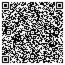 QR code with premier contracting contacts