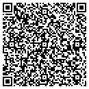 QR code with Premium Replacements contacts