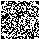 QR code with Pullian S Stump Grinding contacts