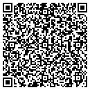 QR code with Pre Owned Auto Outlet contacts